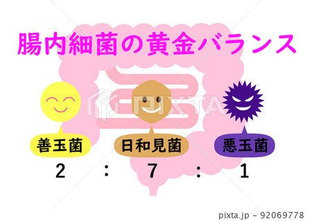 腸活イメージ。理想的な腸内細菌の割合を示す図。 92069778