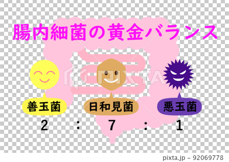 腸活イメージ。理想的な腸内細菌の割合を示す図。 92069778