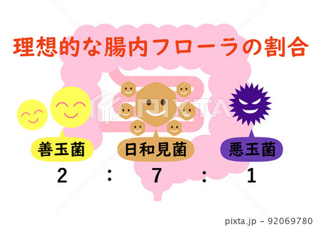 腸活イメージ。理想的な腸内フローラの割合を示す図。 92069780