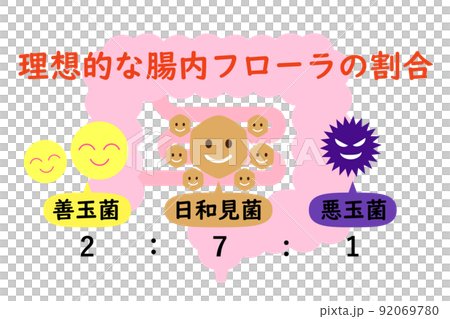 腸活イメージ。理想的な腸内フローラの割合を示す図。 92069780