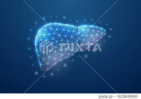 Liver 3d symbol in blue low poly style. Hepatitis, human transplantation design concept illustration. Organ anatomy polygonal wireframe. Liver 3d symbol in blue low poly style. Hepatitis, human transplantation design concept illustration. Organ anatomy polygonal wireframe. 92069960