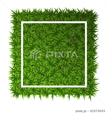 Green grass square. Ground cover plants background texture. Design for card, banner. Piece grasses for you design 92070045
