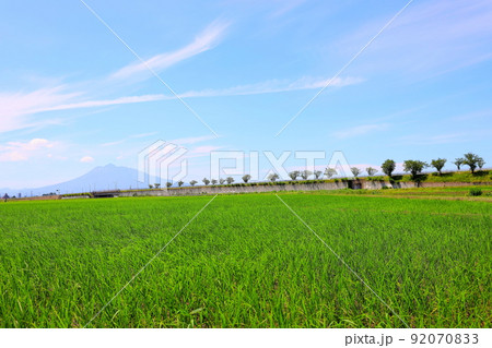 青森県田舎館村の初夏の田園風景と岩木山 92070833