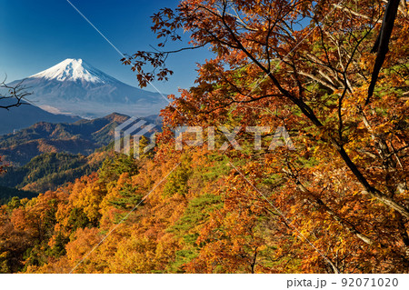 紅葉の羽根子山付近から見る富士山 92071020