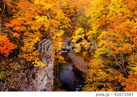 【北海道･札幌】定山渓の秋　10月 92071083