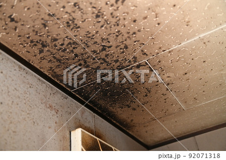 油で汚れたキッチンの換気扇付近 油で汚れたキッチンの換気扇付近 92071318