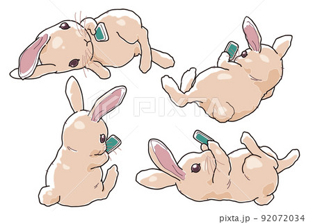 「だらだらスマホうさぎ」四点セット（茶ver） 92072034