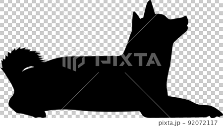 狗坐圖 狗坐圖 92072117