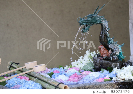 龍の口から水が出て色々な色の紫陽花の活けてある手水鉢と柄杓の置かれた手水舎の風景 龍の口から水が出て色々な色の紫陽花の活けてある手水鉢と柄杓の置かれた手水舎の風景 92072476