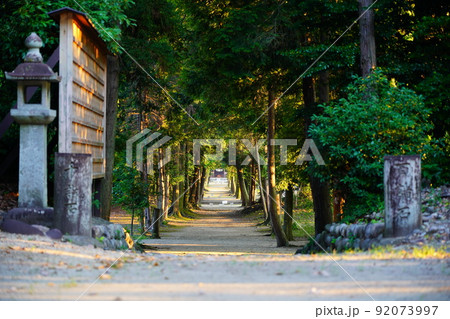 岐阜県可児市　白髭神社　参道入口から見える社殿 92073997