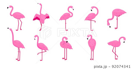 Cartoon flamingo set. Tropical cute pink birdsのイラスト素材