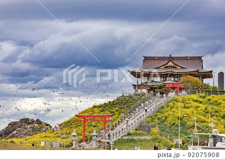 春の蕪島神社(青森県八戸市) 春の蕪島神社(青森県八戸市) 92075908
