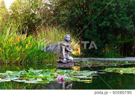 the arboretum in Sochi 92080790