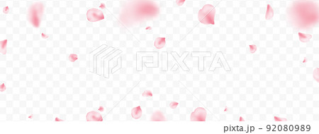 Flower flying background. Sakura petal spring blossom. Pink rose composition. Beauty Spa product frame. Valentine romantic card. Light delicate pastel design. Wedding card. Vector illustration 92080989
