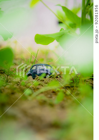 草木とチンクエチェント 92081956