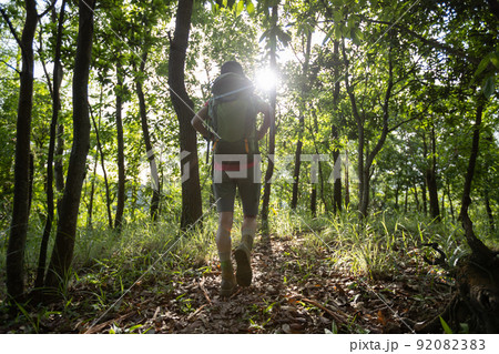 Woman hiker hiking on forest trail Woman hiker hiking on forest trail 92082383