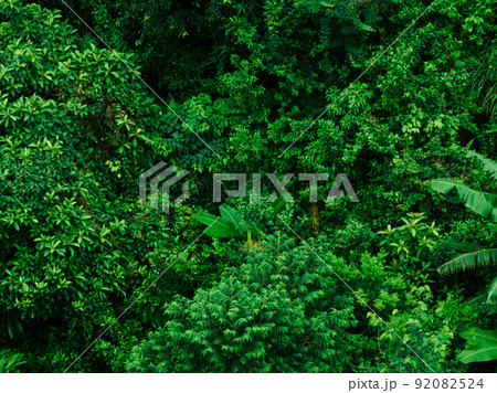 Aerial view of beautiful forest mountain landscape Aerial view of beautiful forest mountain landscape 92082524