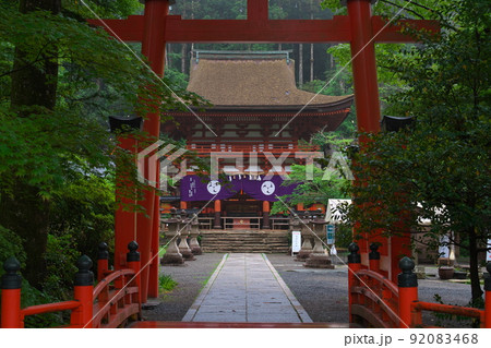 丹生都比売神社 中鳥居から本殿 和歌山県かつらぎ町 新緑 雨上がり 丹生都比売神社 中鳥居から本殿 和歌山県かつらぎ町 新緑 雨上がり 92083468