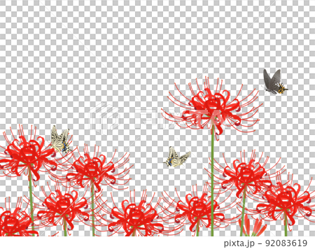 彼岸花とアゲハ蝶のフレーム 彼岸花とアゲハ蝶のフレーム 92083619