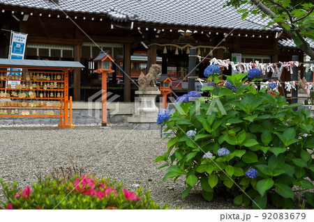 宝来山神社　拝殿　境内　アジサイ　参道　和歌山県かつらぎ町　初夏 92083679