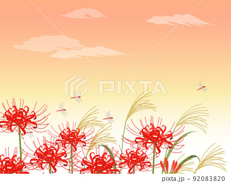 彼岸花とススキとトンボ_背景_夕焼け 92083820