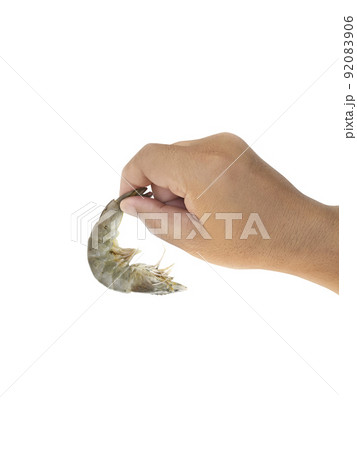 Raw white shrimp in hand, isolated on white background 92083906
