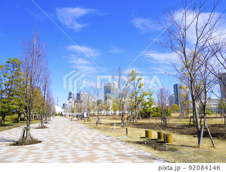 芝浦中央公園（東京都港区） 92084146