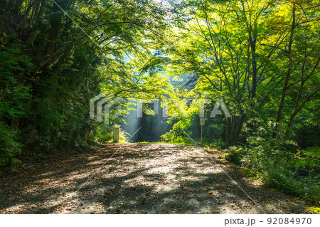 大峰の秘境「神仙平」から七面山を周回(奈良県五條市大塔町篠原)※作品コメント欄に撮影位置 大峰の秘境「神仙平」から七面山を周回(奈良県五條市大塔町篠原)※作品コメント欄に撮影位置 92084970