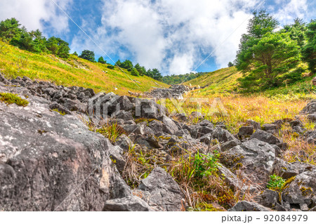 大峰の秘境「神仙平」から七面山を周回、神仙平(奈良県五條市大塔町篠原)※作品コメント欄に撮影位置 大峰の秘境「神仙平」から七面山を周回、神仙平(奈良県五條市大塔町篠原)※作品コメント欄に撮影位置 92084979