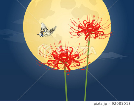 満月と彼岸花とアゲハ蝶 92085013