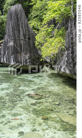 Pristine beach water at Palawan Pristine beach water at Palawan 92085046