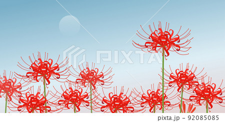 彼岸花と月のイメージ(2:1) 彼岸花と月のイメージ(2:1) 92085085