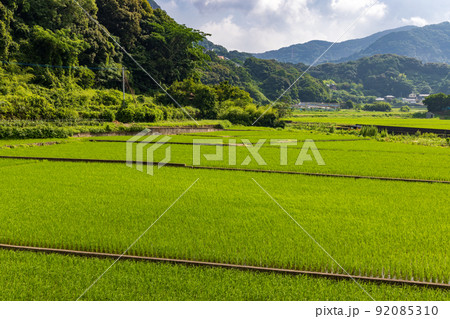 田 0005 田 0005 92085310