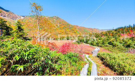 栂池自然園(秋) 栂池自然園(秋) 92085372