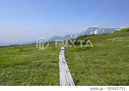五色ヶ原とトムラウシ山（北海道・大雪山） 92085731