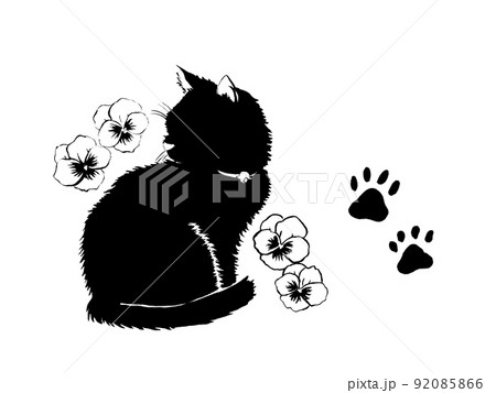 何かが気になる猫とパンジーのシルエット 何かが気になる猫とパンジーのシルエット 92085866