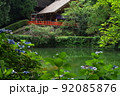 高鴨神社　本殿拝殿アジサイとともに　奈良県御所市 92085876