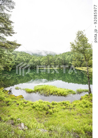 夏の御射鹿池 92085977