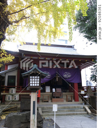 イチョウの黄葉が美しい秋の日本橋日枝神社 92086361