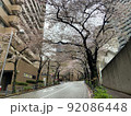 雨の日の六本木一丁目スペイン坂の桜A 92086448