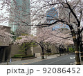 雨の日の六本木一丁目スペイン坂の桜D 92086452
