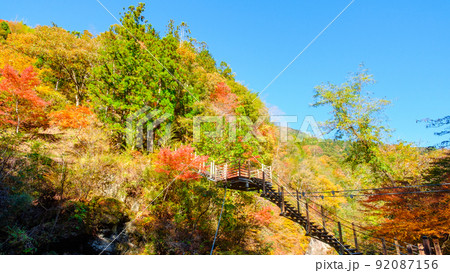 大柳川渓谷(秋):竜神橋 大柳川渓谷(秋):竜神橋 92087156