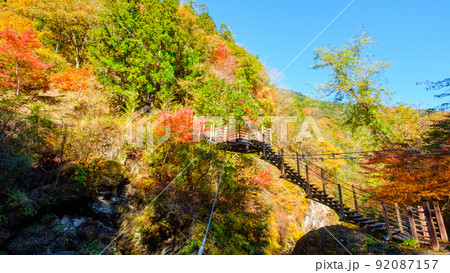大柳川渓谷（秋）：竜神橋 92087157