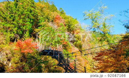 大柳川渓谷（秋）：竜神橋 92087166