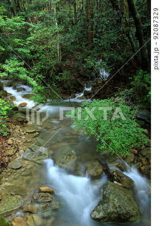 涼しげで 緑が映える夏の渓流 涼しげで 緑が映える夏の渓流 92087329