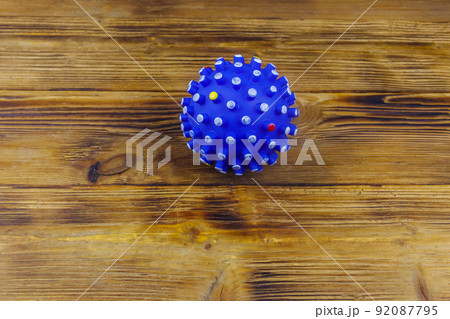 Blue dog toy ball on wooden background. Top view 92087795