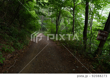 山林を縫うように走る暗いダートの林道 悪路 山林を縫うように走る暗いダートの林道 悪路 92088273