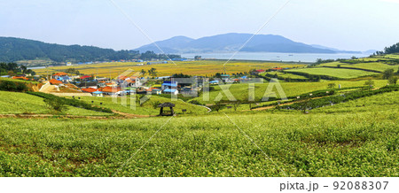 自然 風景 景色 92088307