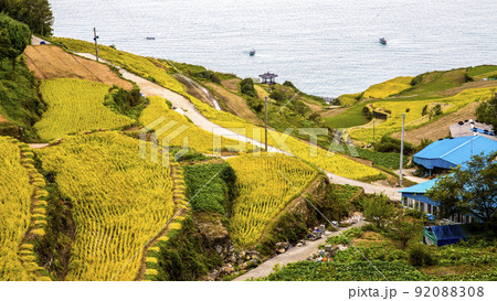 自然 風景 景色 92088308