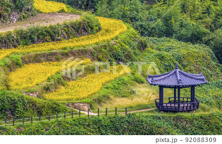 自然 風景 景色 92088309